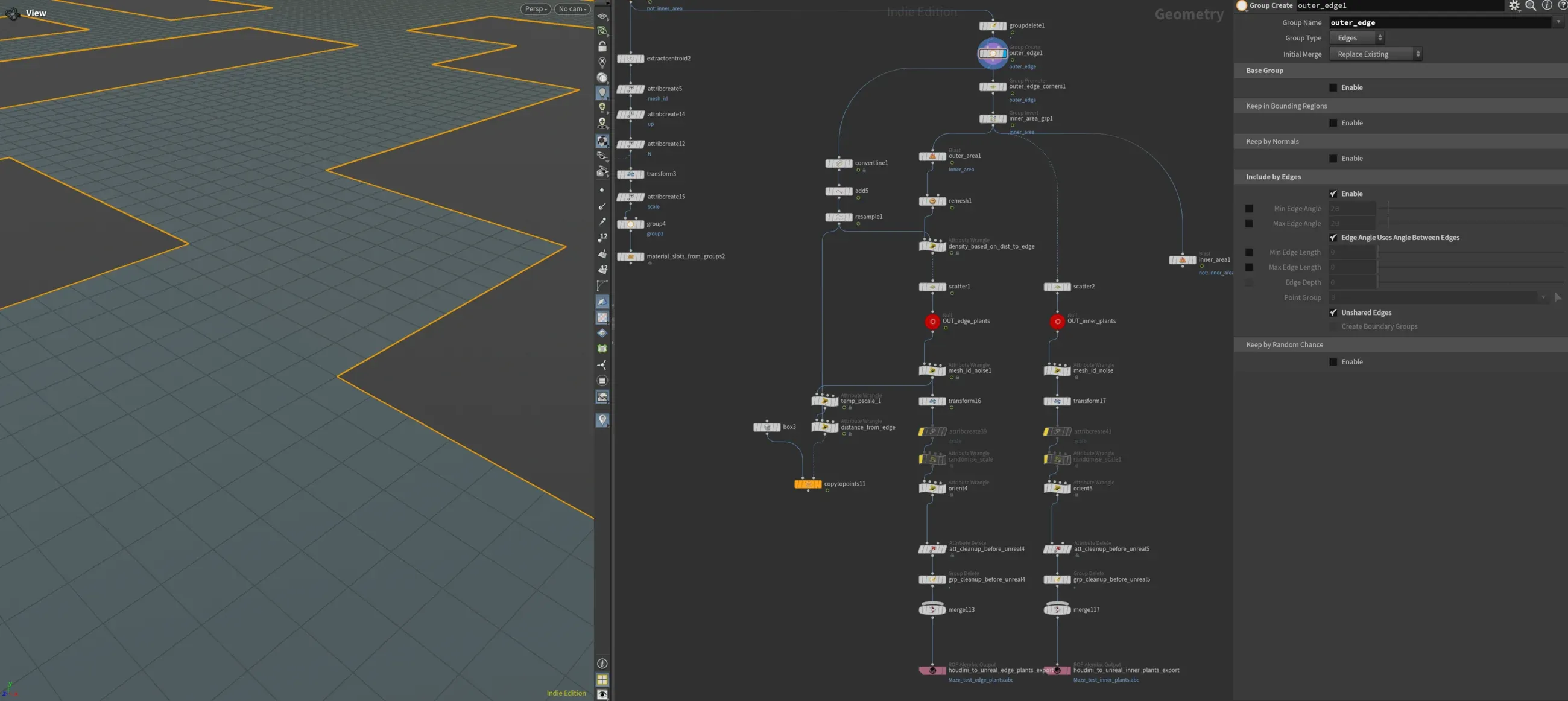 Houdini viewport and network showing maze edge lines selected for an outer edge vegetation scatter setup.